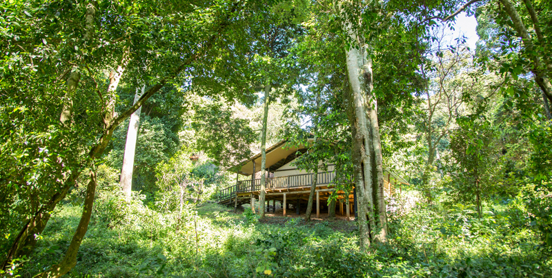 Mara Engai Wilderness Lodge Kenya