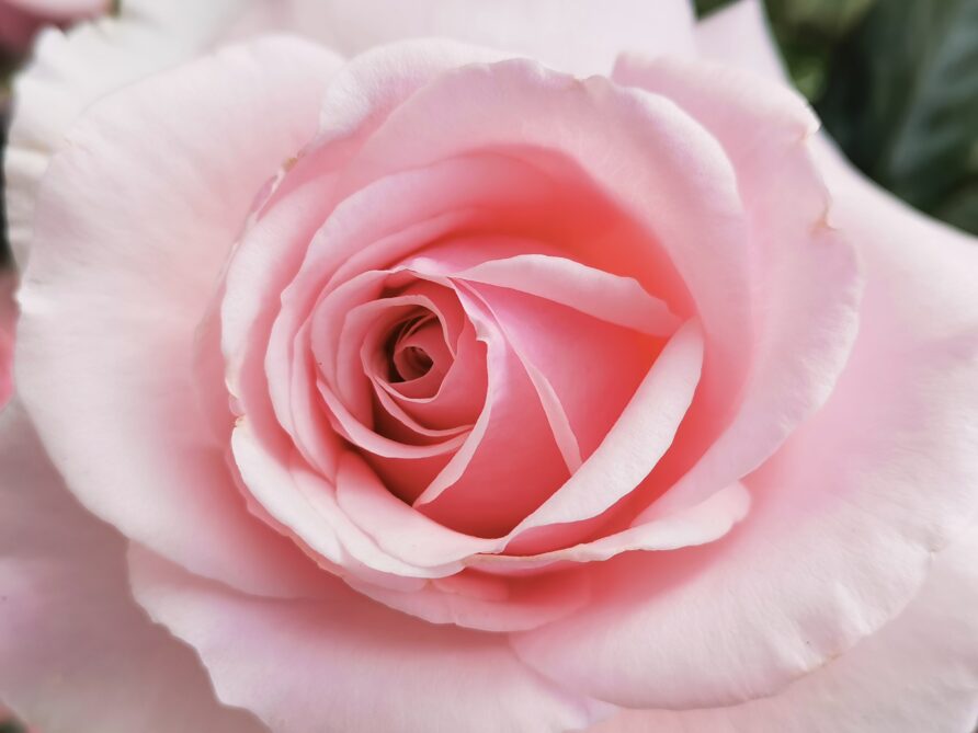 Plan your exclusive wedding or honeymoon in a luxury resort or 5 star hotel with DLW Luxury hotels worldwide